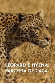 Leopardo e Hiena: Parceria de Caça